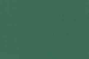 Линолеум Forbo Sarlon Colour 15dB 878T4315 dark green uni фото  | FLOORDEALER